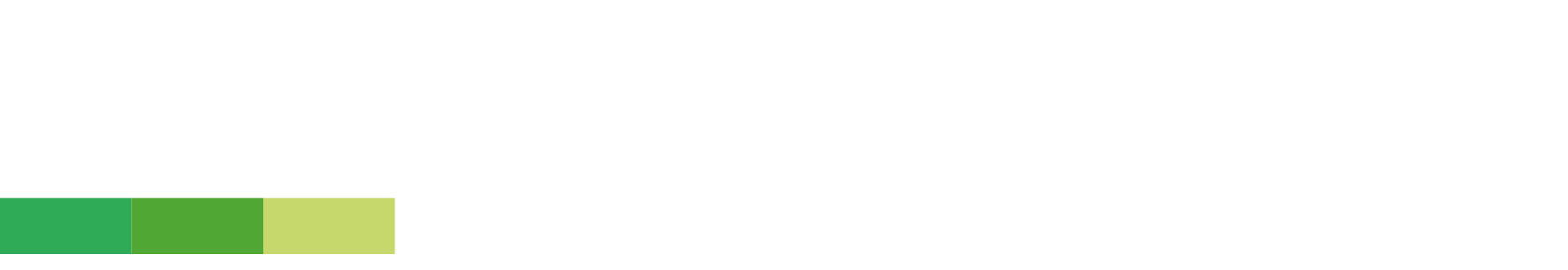 RSA Footwear Logo